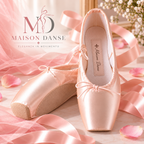 PUNTA PROFESSIONALE MAISON DANSE