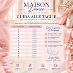 PUNTA PROFESSIONALE MAISON DANSE