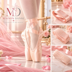 PUNTA PROFESSIONALE MAISON DANSE